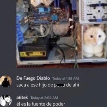 Tenía que ser un gato naranja xddd