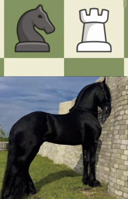 itsD3lay🐧 (@itsd3lay) on Twitter photo 