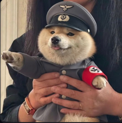 imtooJiggy tweet media