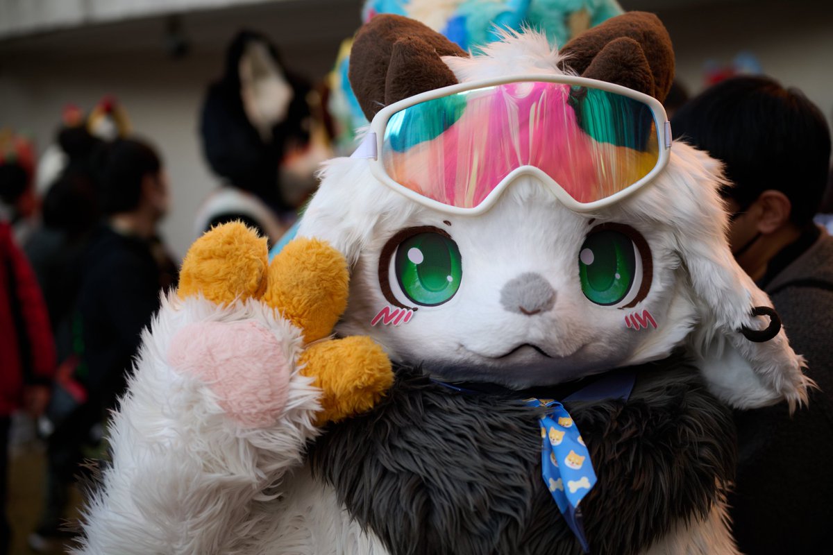 Justice_fur's tweet photo. 貅太からもらったのネクタイ可愛い!!

#FursuitFriday #JMoF2026 #JMoF https://t.co/ZeZgc0csCw