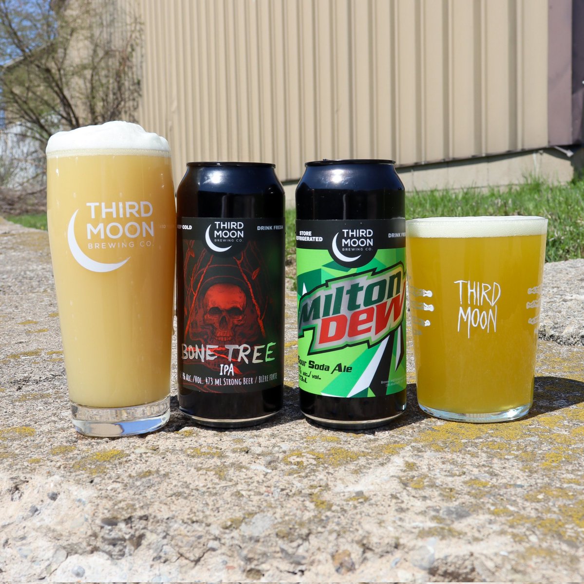 ThirdMoonBeer's tweet photo. We have two releases for you this week - Milton Dew and Bone Tree!

See our Instagram for full details 🍻 https://t.co/lTIH7sXPcl