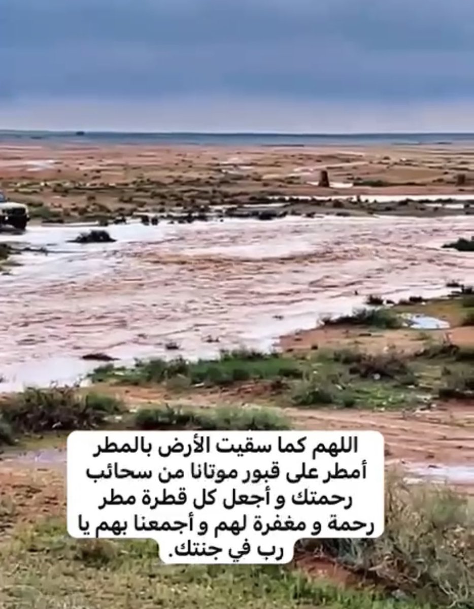 الشامخ tweet media