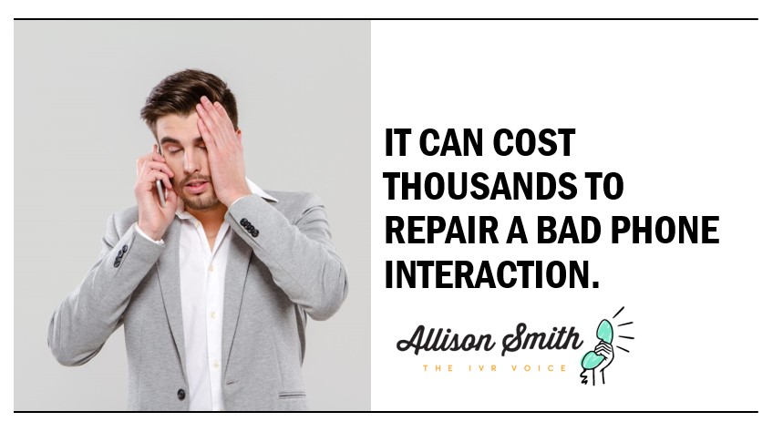 voicegal's tweet image. #IVR #ivrvoice