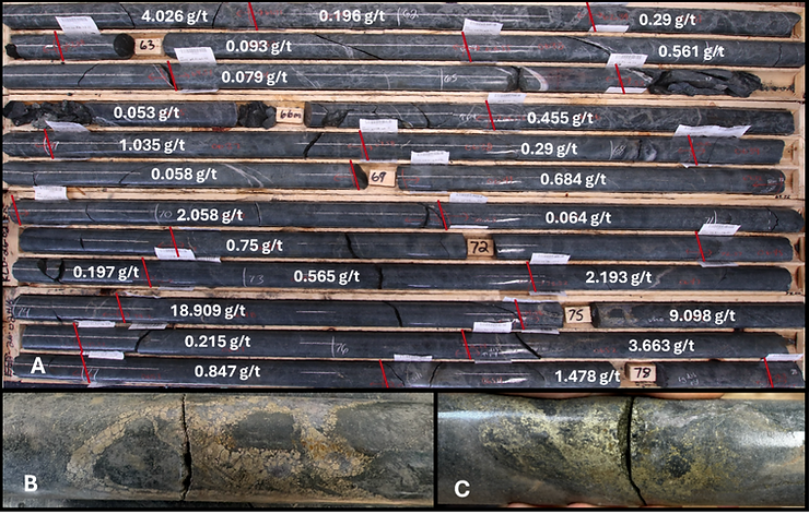 Crescat Capital tweet media