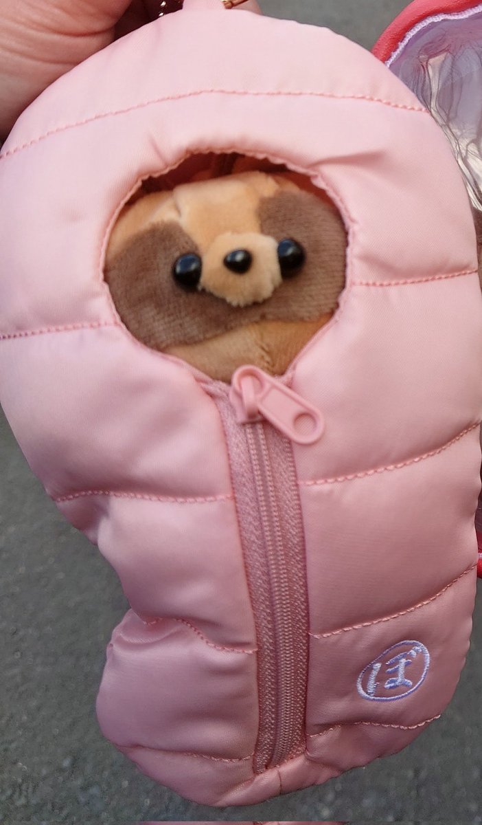 chrispy:Pᐢ⓿ᴥ⓿ᐢ〚どうぶつ〛 tweet media