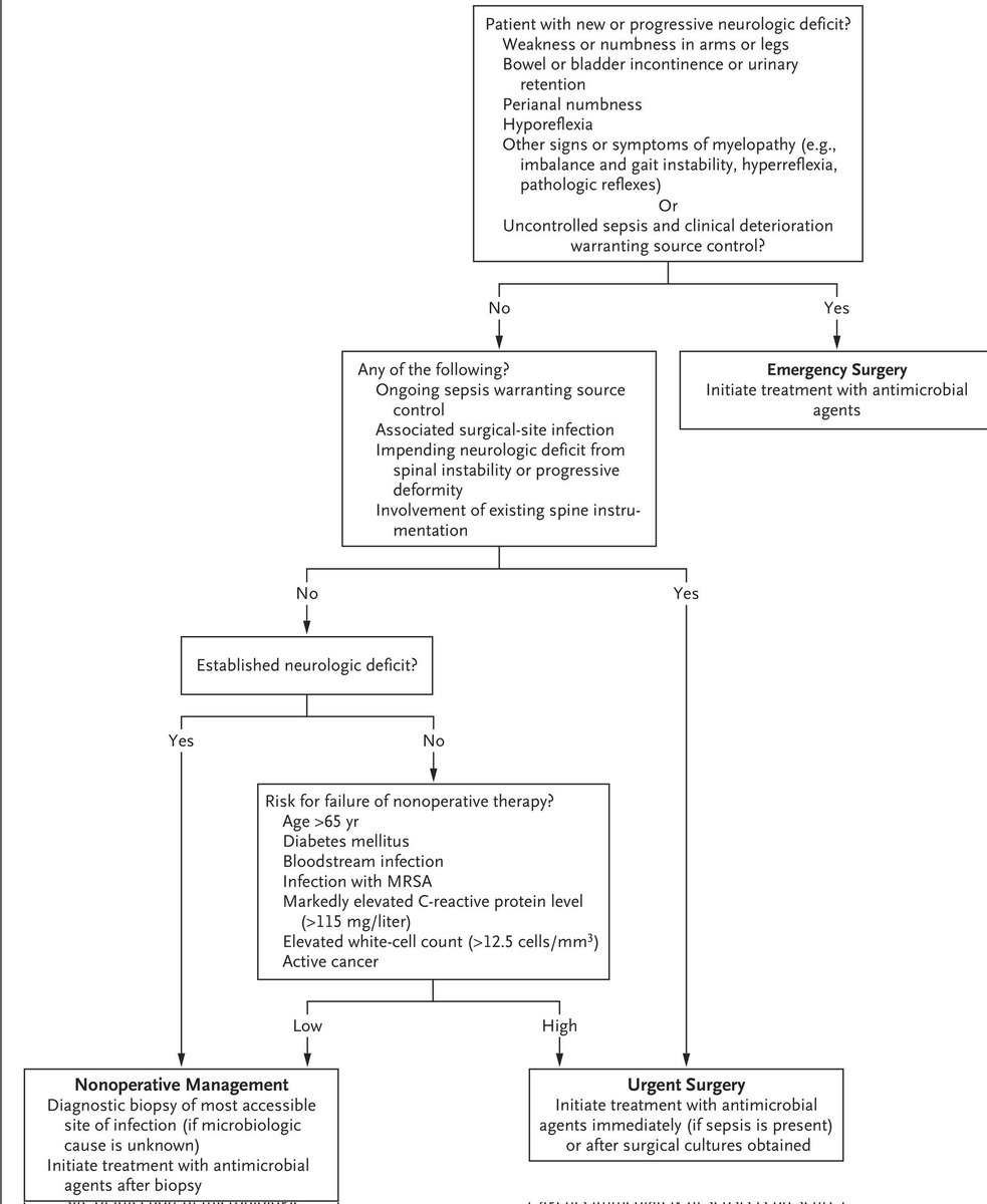 ABsteward's tweet photo. 🆕💥🔴 Review article:Spinal epidural abscess
I like figure below—clear distinction between paraspinal &amp; epidural abscess
Including “zombie tests”(CRP/ESR) in diagnostic workup feels overstated—they don’t change decision-making once suspicion is raised
https://t.co/2E16HRBZrD https://t.co/zOFB2pDOAj