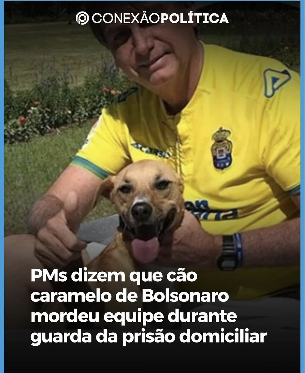 Até o Caramelo já entendeu que se trata de uma prisão injusta. 😂🐶