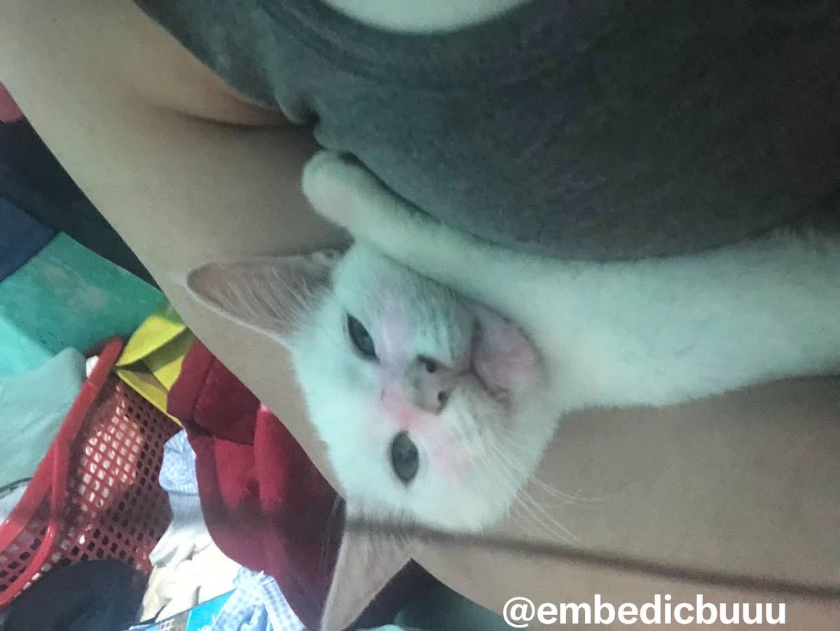 Làm ồn là tỉnh tweet media