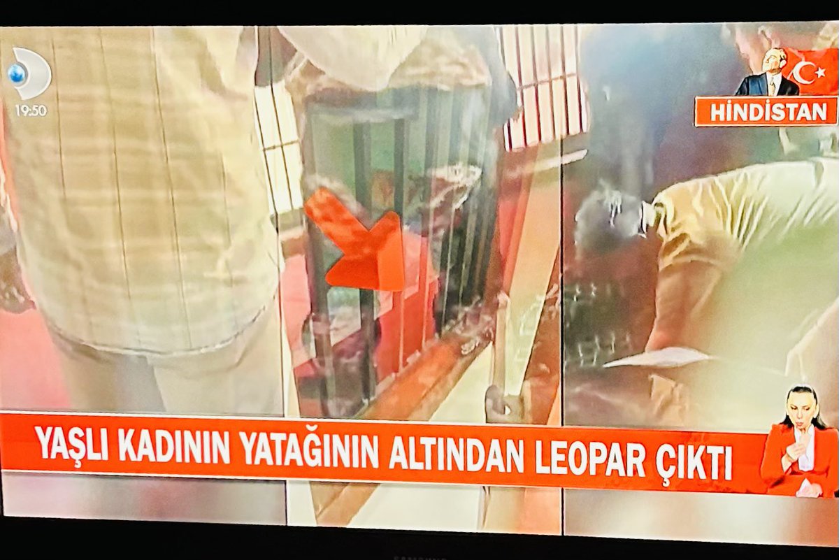 Coğrafya kaderdir..! bizim yatagin altından çıksa çıksa tahta kurusu çıkar..