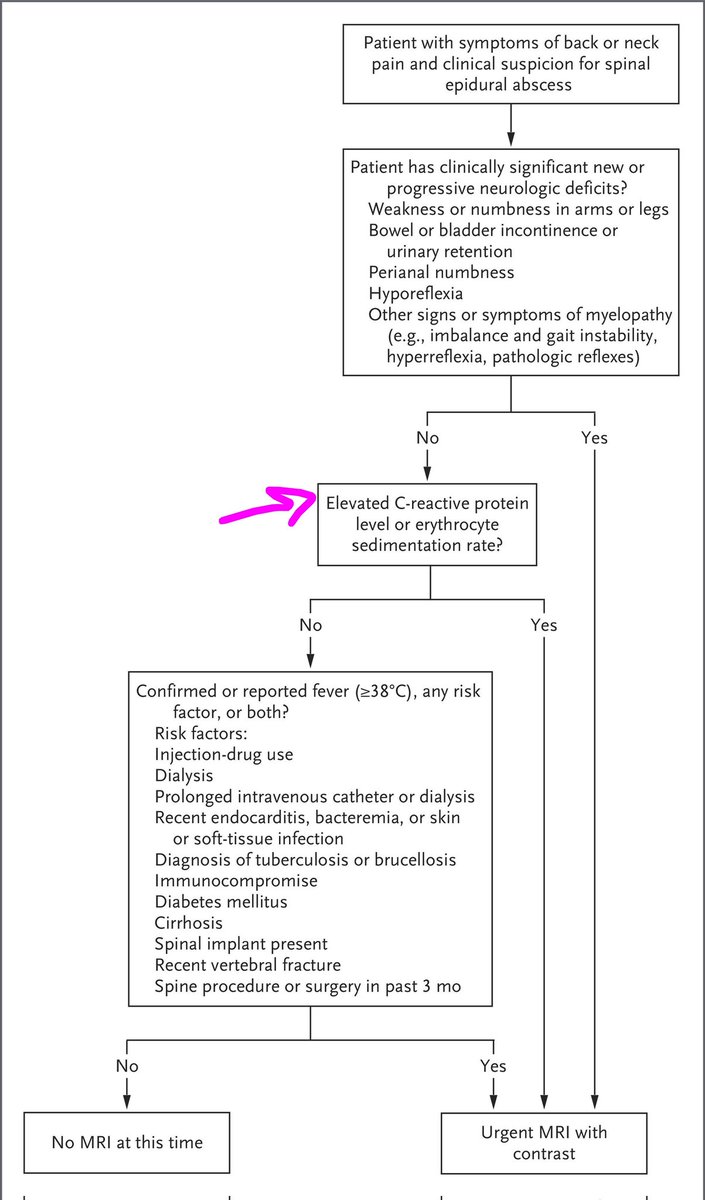 ABsteward's tweet photo. 🆕💥🔴 Review article:Spinal epidural abscess
I like figure below—clear distinction between paraspinal &amp; epidural abscess
Including “zombie tests”(CRP/ESR) in diagnostic workup feels overstated—they don’t change decision-making once suspicion is raised
https://t.co/2E16HRBZrD https://t.co/zOFB2pDOAj