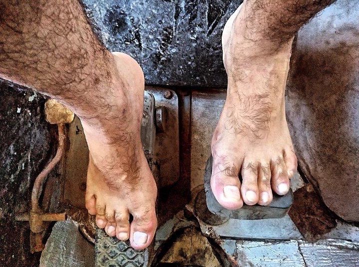 The Trucker tweet media