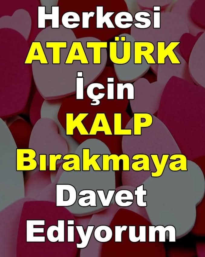 AkınBay 🇹🇷 tweet media