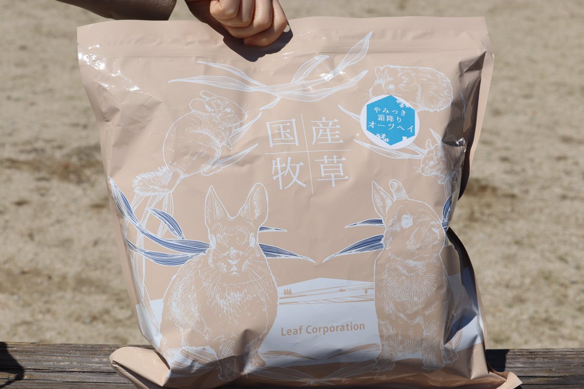 ひなちゃん tweet media