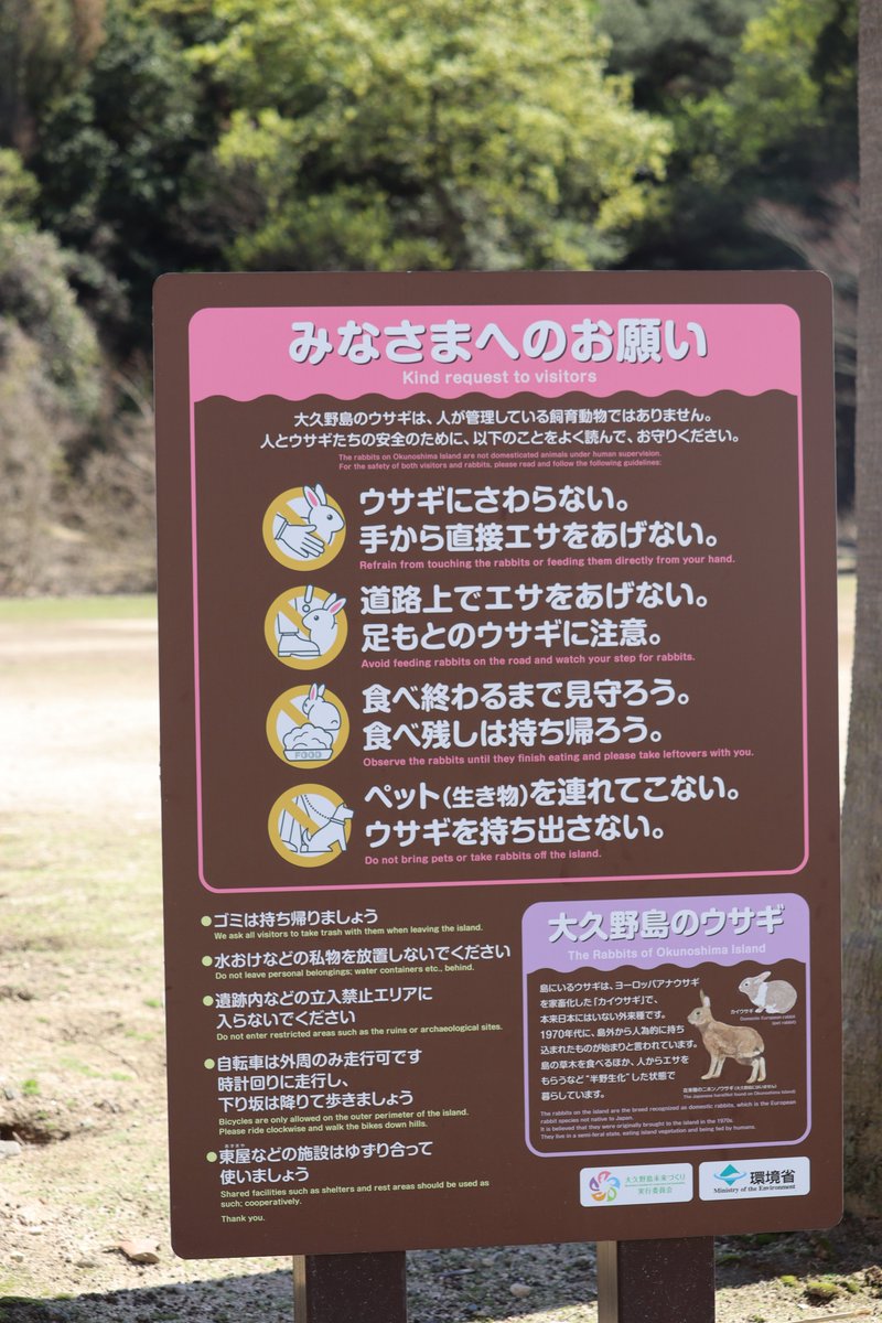 ひなちゃん tweet media