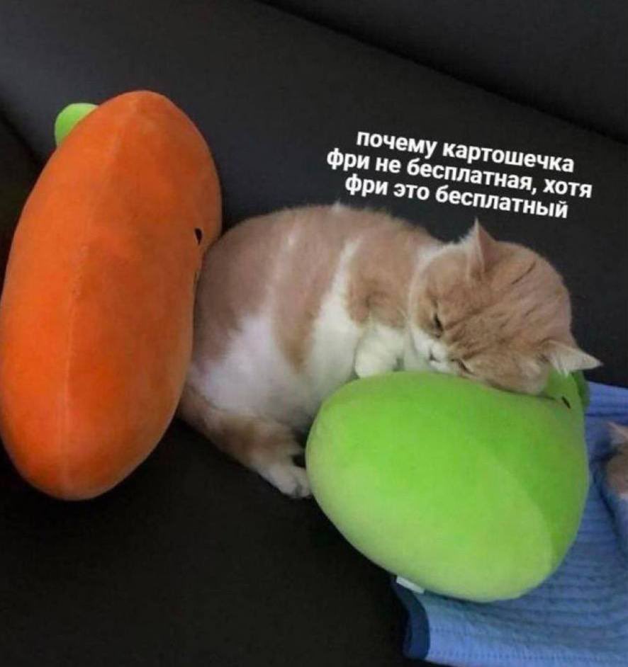 t. (@timcosx) on Twitter photo 