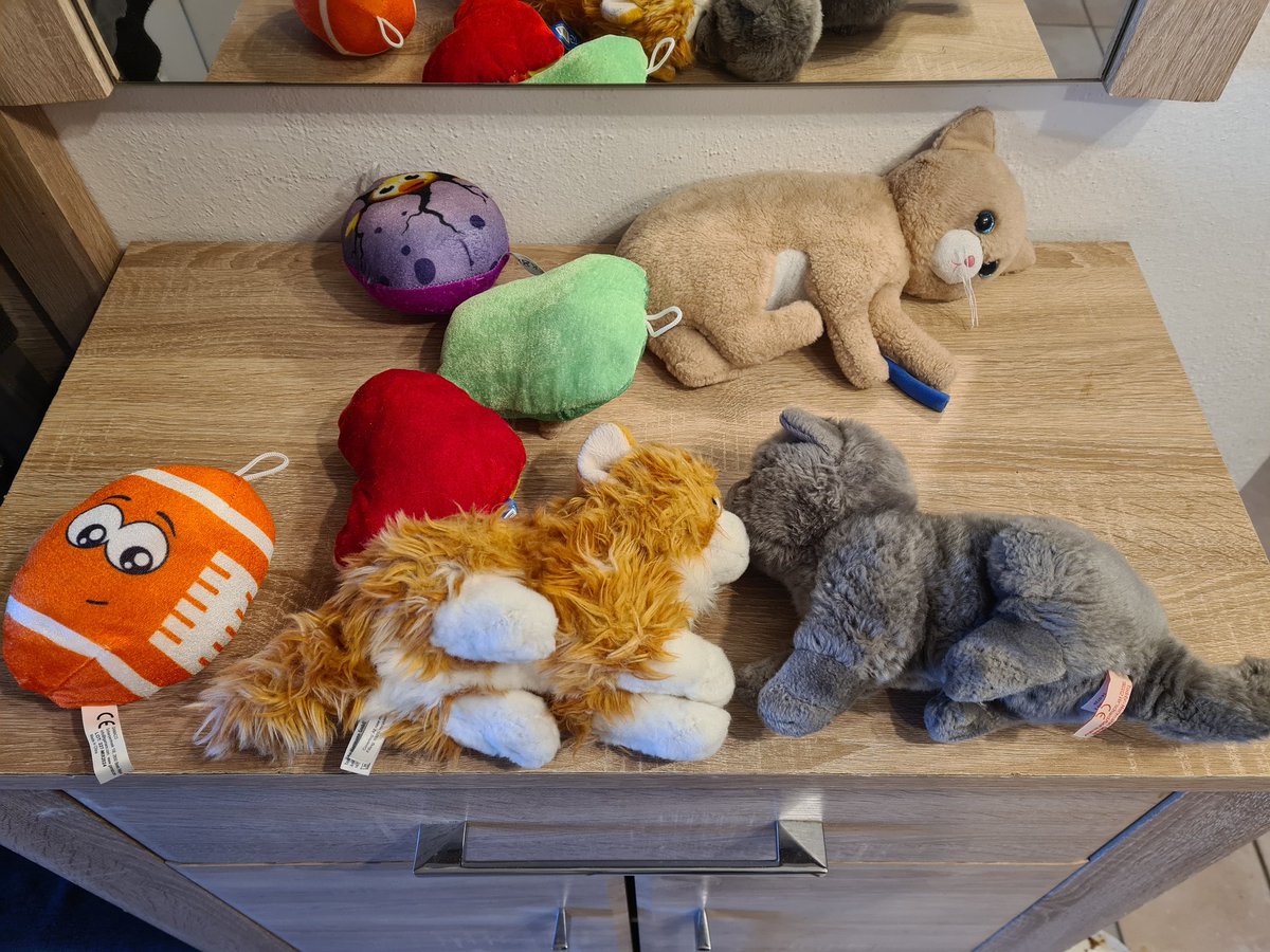 Marcus_mit_Zeh's tweet image. Ich will ja nicht sagen, dass #Lenny des öfteren Stofftiere von oben mitbringt, aber DAS ⬇️ ist allein die Ausbeute von heute 😅