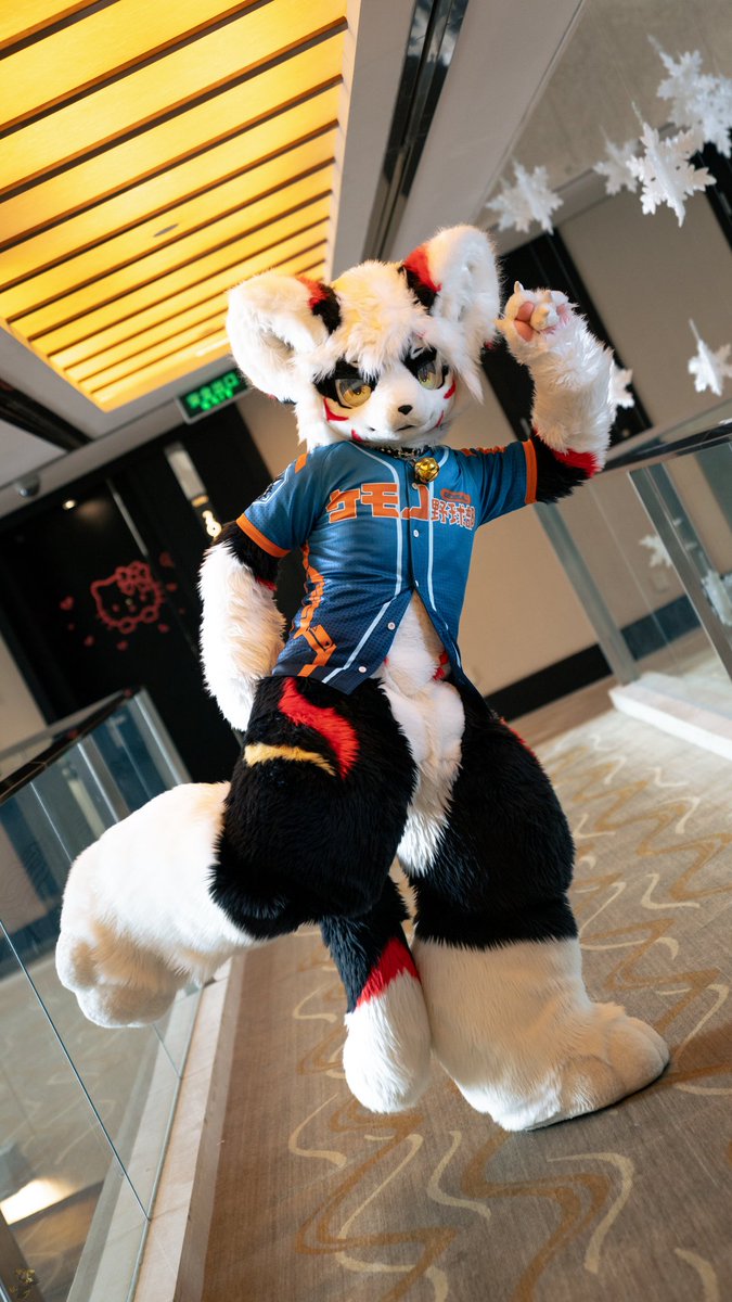 Baimoe's tweet photo. #FursuitFriday
仙人掌猫
📷@Kitami_2000 https://t.co/KllCZlA5Ul