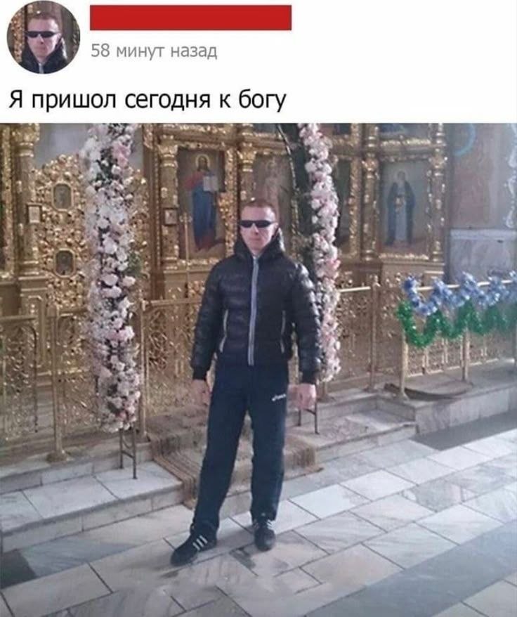 Последний гусь tweet media