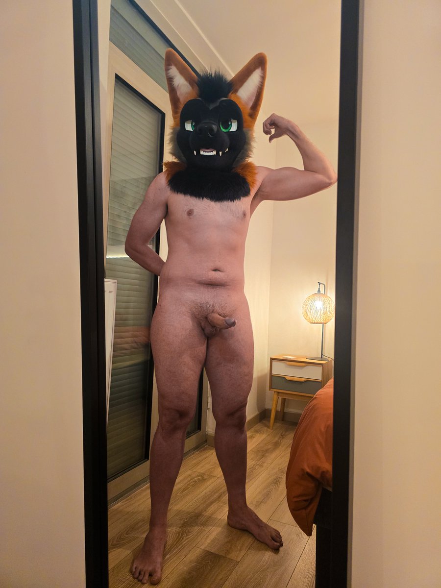 Dedran/Orbit 🔜 PW tweet media