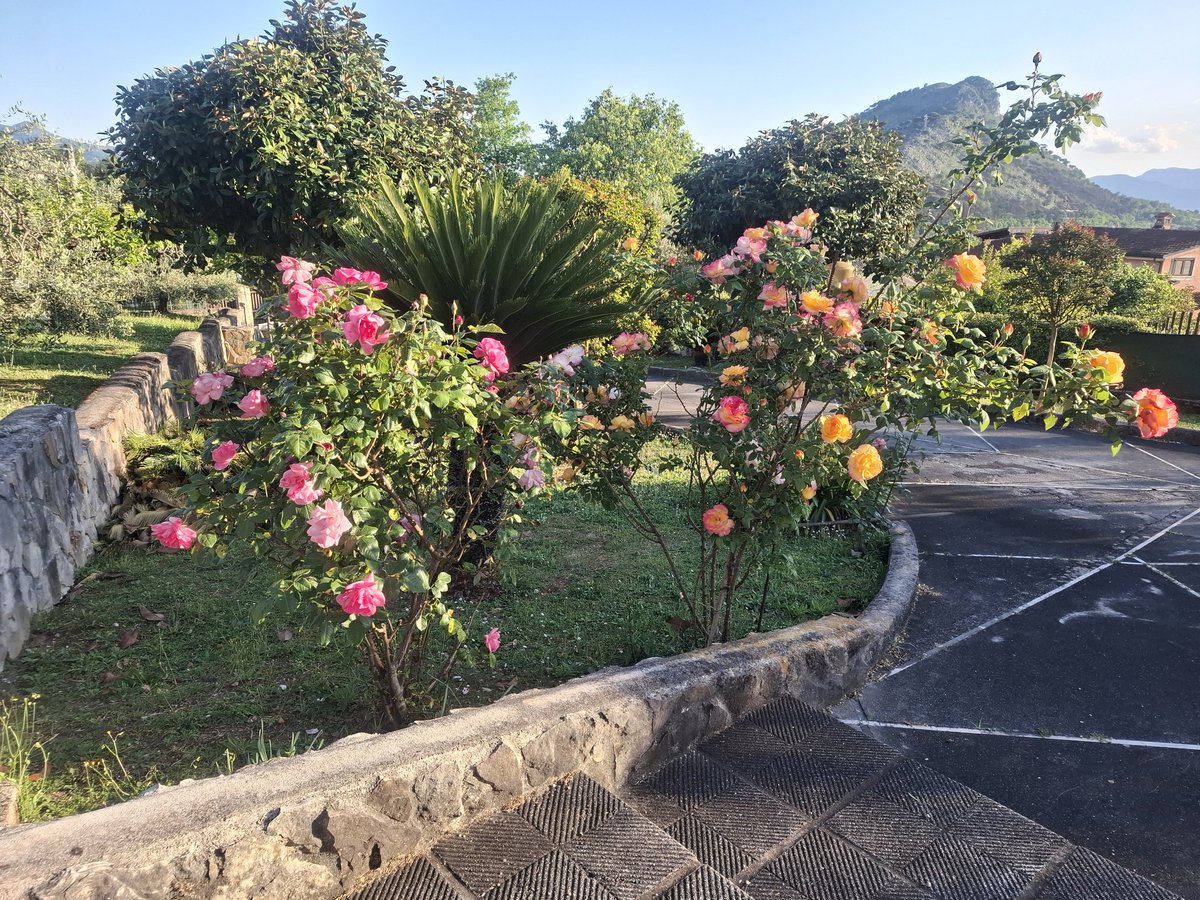 sorridoioGioia's tweet image. Che pace #casa