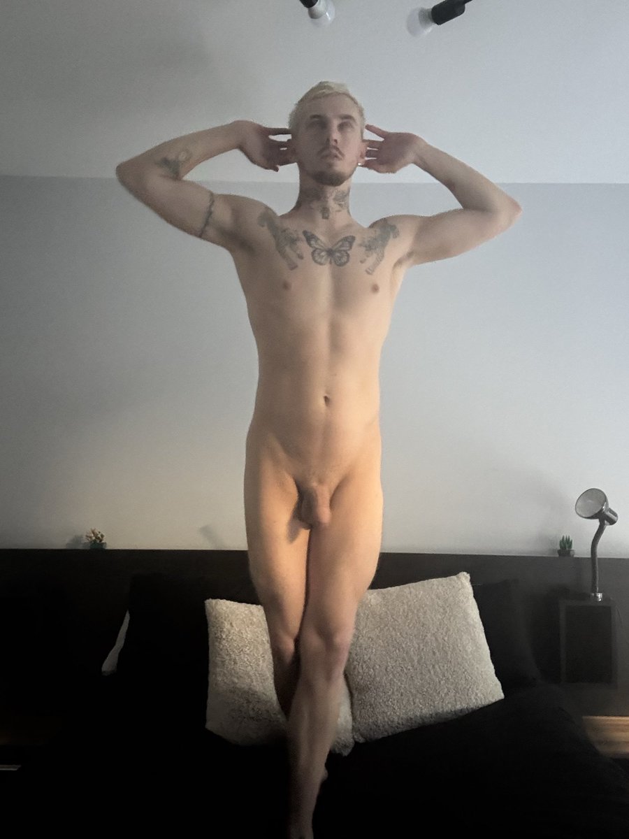 Daniel Ocean tweet media