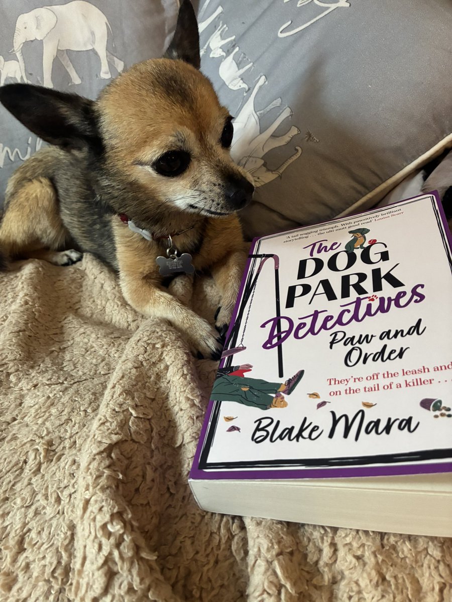 KarenKisreading 📚🐾 tweet media
