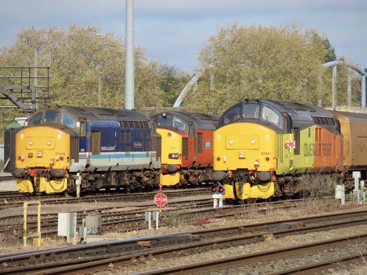 HiPa125's tweet image. #EnglishElectric #Type3 #Class37 - Derby Rail Technical Centre