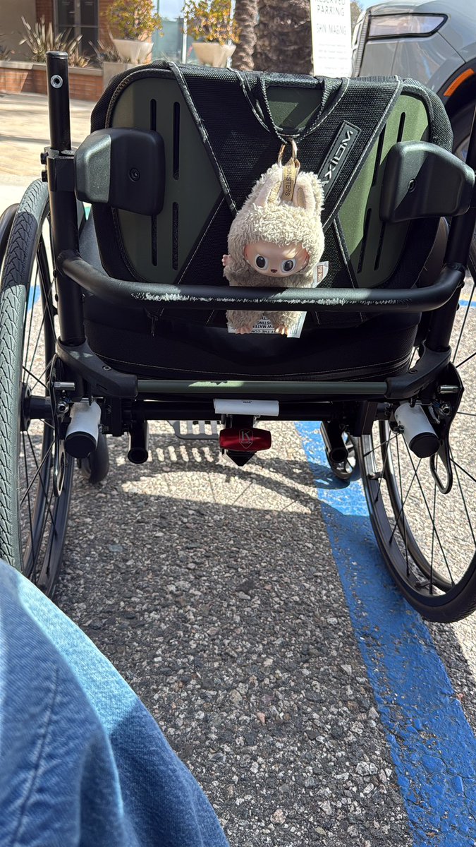 x - lilli tweet media