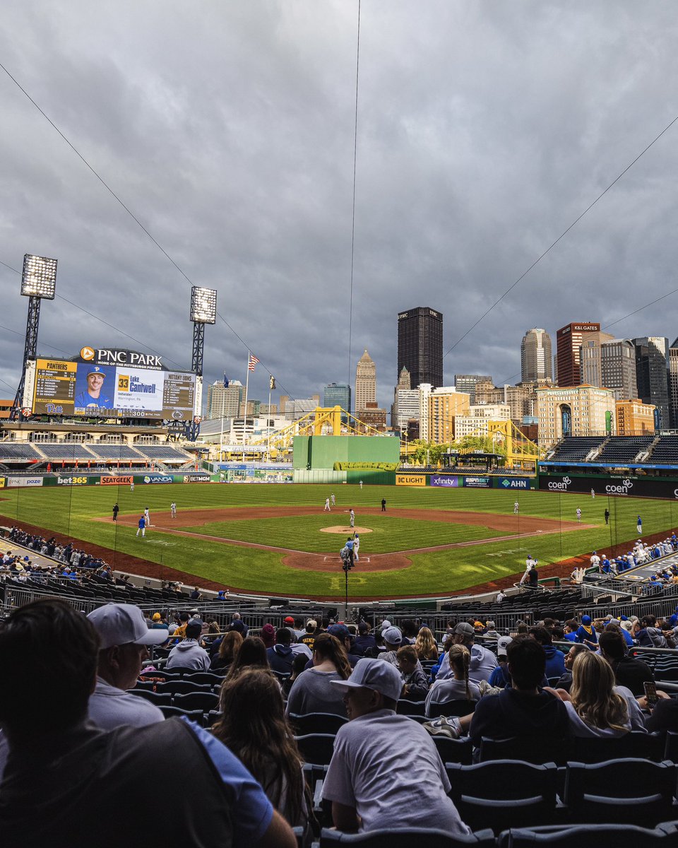 Pitt Baseball tweet media