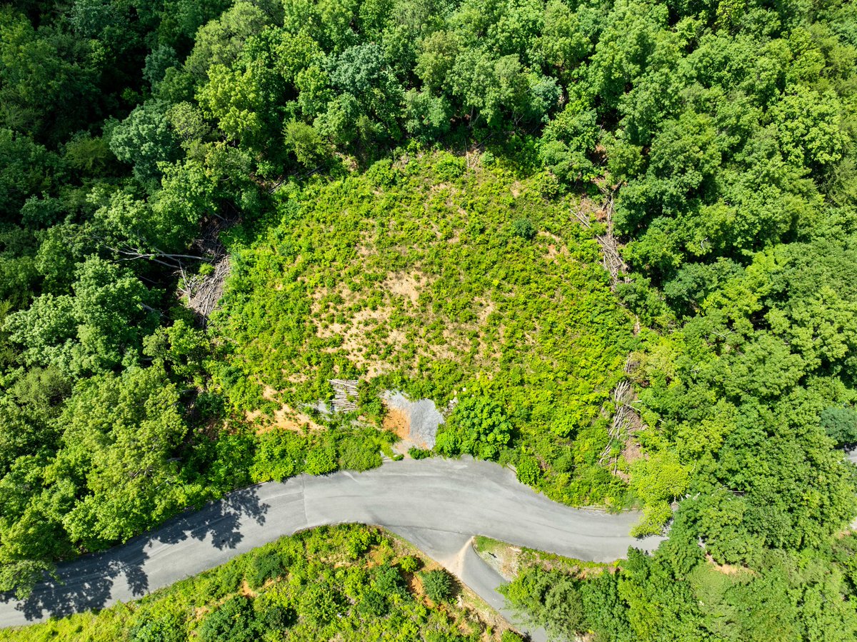 RyanColemanCEO's tweet image. 🔥 Featured Land Listing 🔥
📍 648 Almost Heaven Way, Gatlinburg, TN
🌄 6.9 Acres
💰 $449,950

📸 ryancoleman.org/648-almost-hea…
📲 Call 865-693-SOLD

#GatlinburgRealEstate #LandForSale #STRInvestment #SmokyMountainViews #EastTennesseeRealEstate #HometownRealty