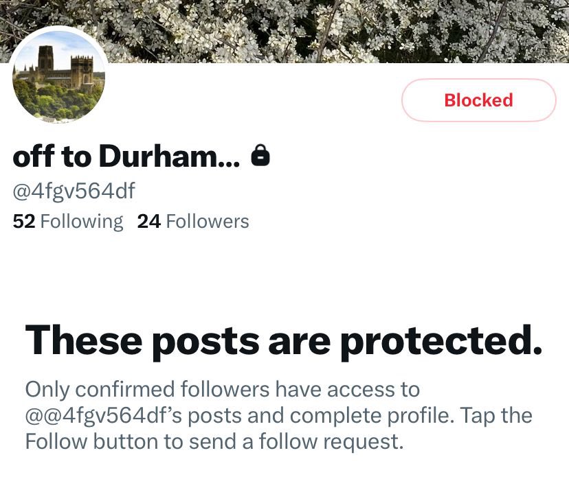 Wings Over Scotland tweet media