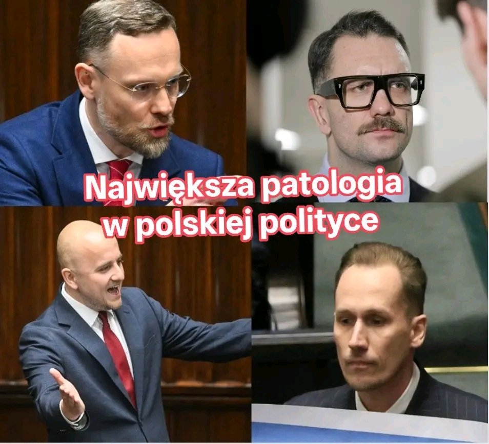 Grażyna Miziuła Gracja (@gmiziula) on Twitter photo 