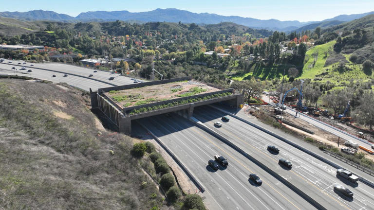 David Burks; 데이비드 벅스; デビッド・バークス; 大卫·伯克斯 tweet media