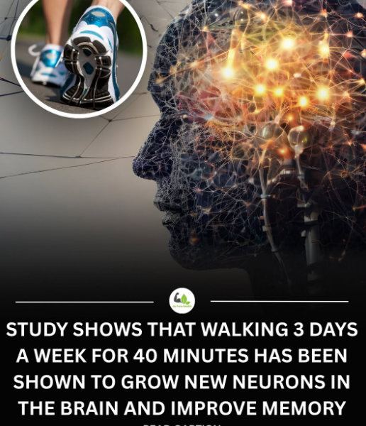 Neuron Powers 🧠 tweet media