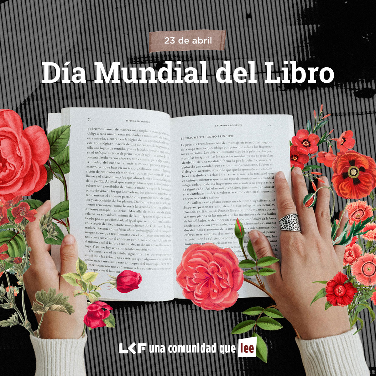 libreriacf's tweet photo. En el Día Mundial del Libro, recordamos que leer nos transforma, nos acompaña y nos conecta. Por eso, hoy, y todos los días, celebramos a quienes hacen de los libros parte de su vida.

#LCF #DíaMundialDelLibro #UnaComunidad #SigamosLeyendo https://t.co/x1t7hhm3LY