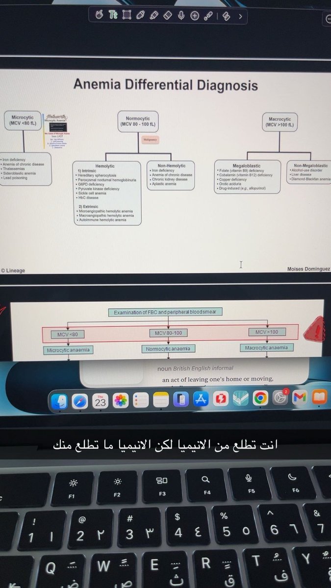 OSA tweet media