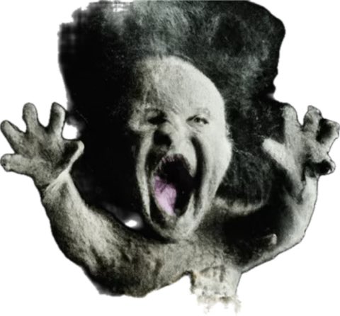 l-l-l Labfajdegjia🚬 tweet media