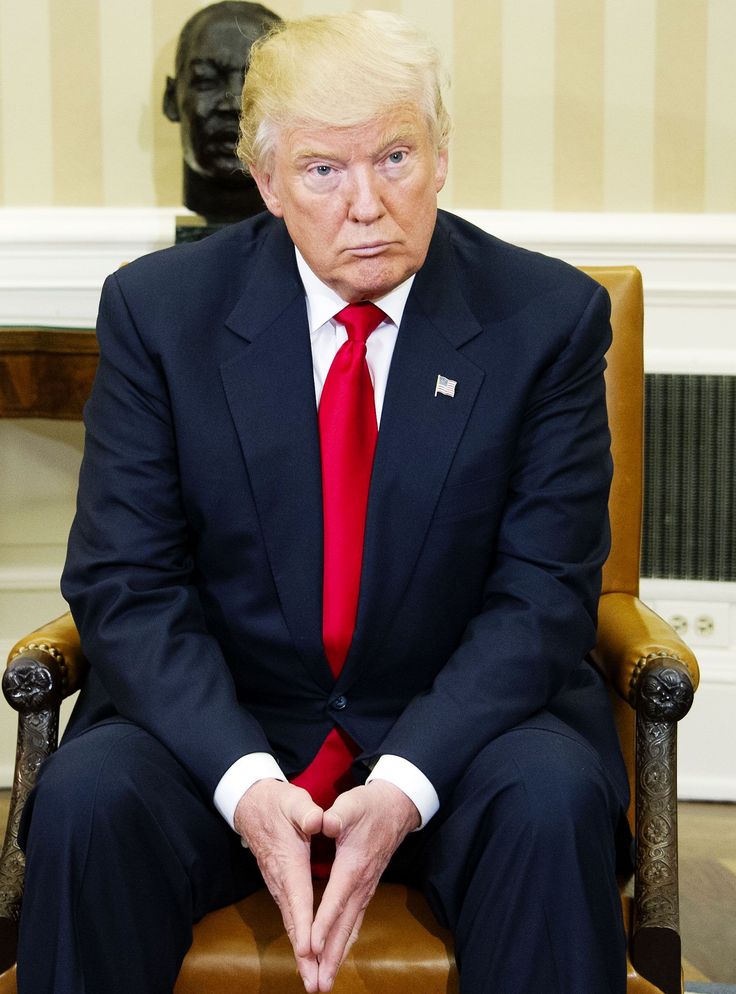 Perlina Trump tweet media