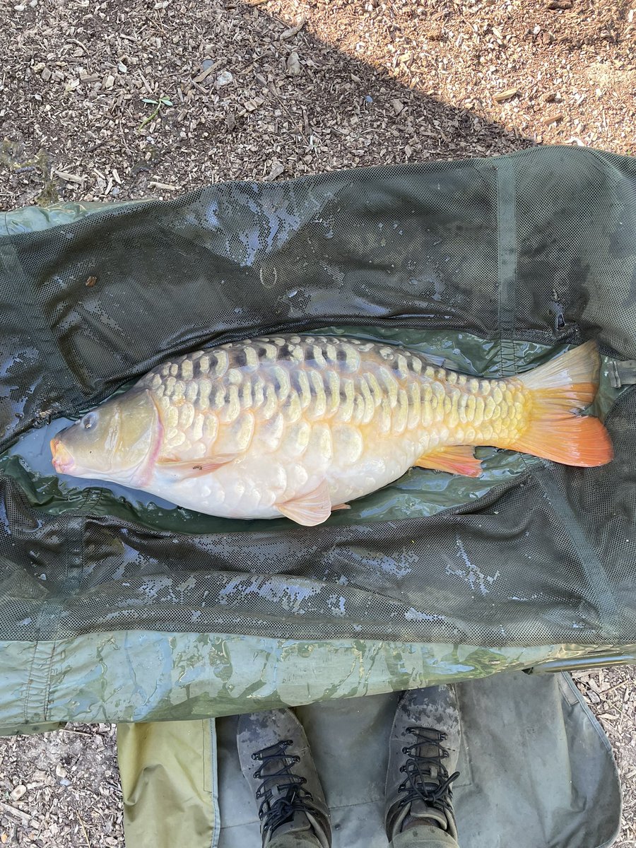 paul carpman stote ⚒🎣✌️ tweet media