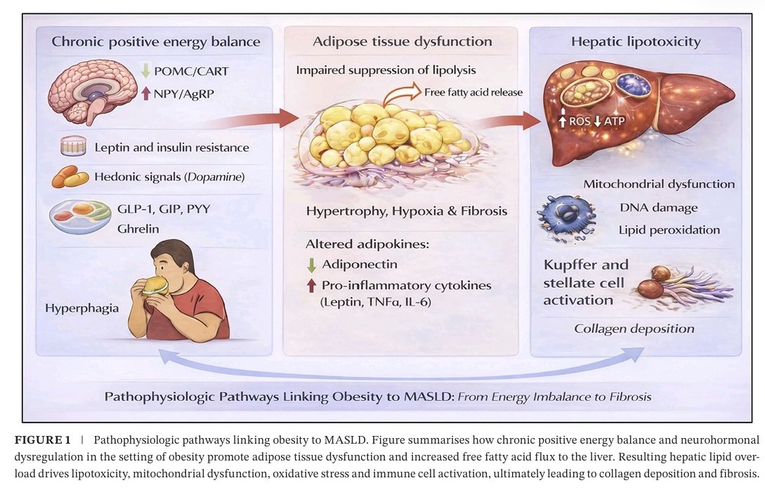 Marcos Gamboa tweet media