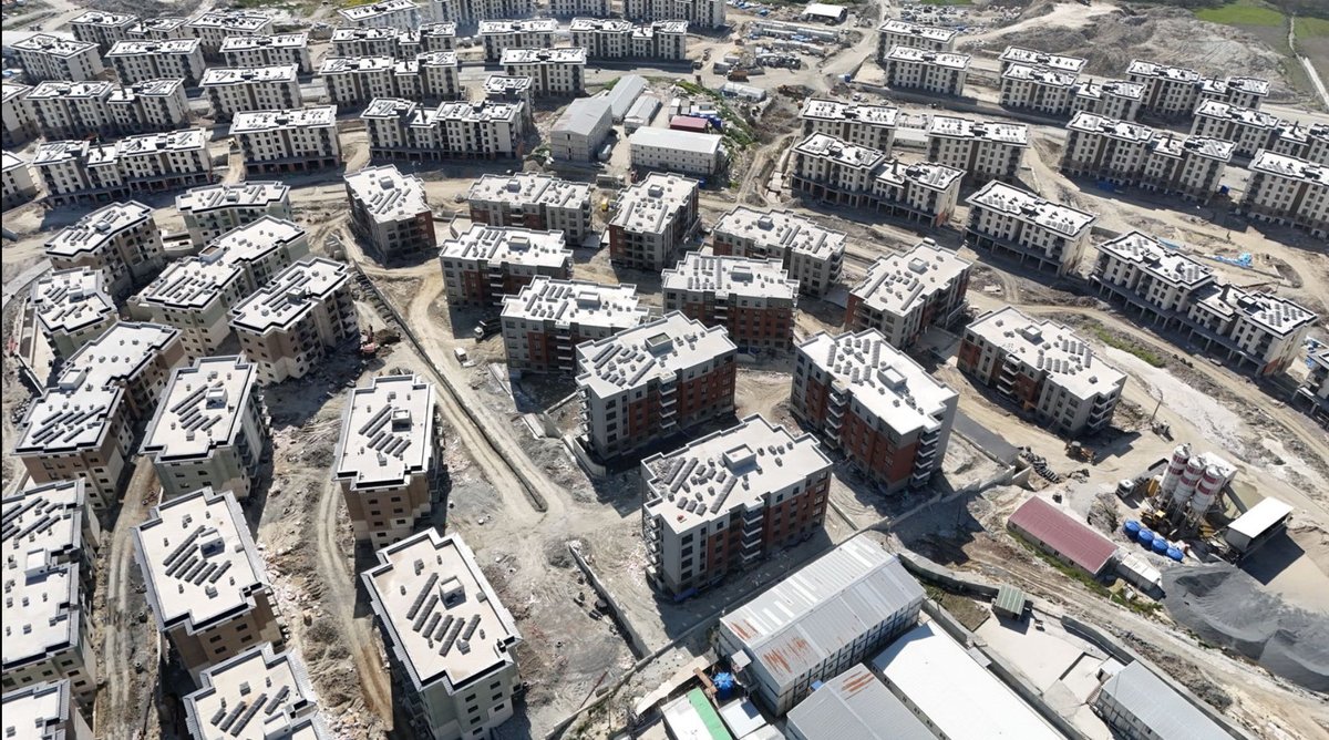 Bolluca Insider tweet media