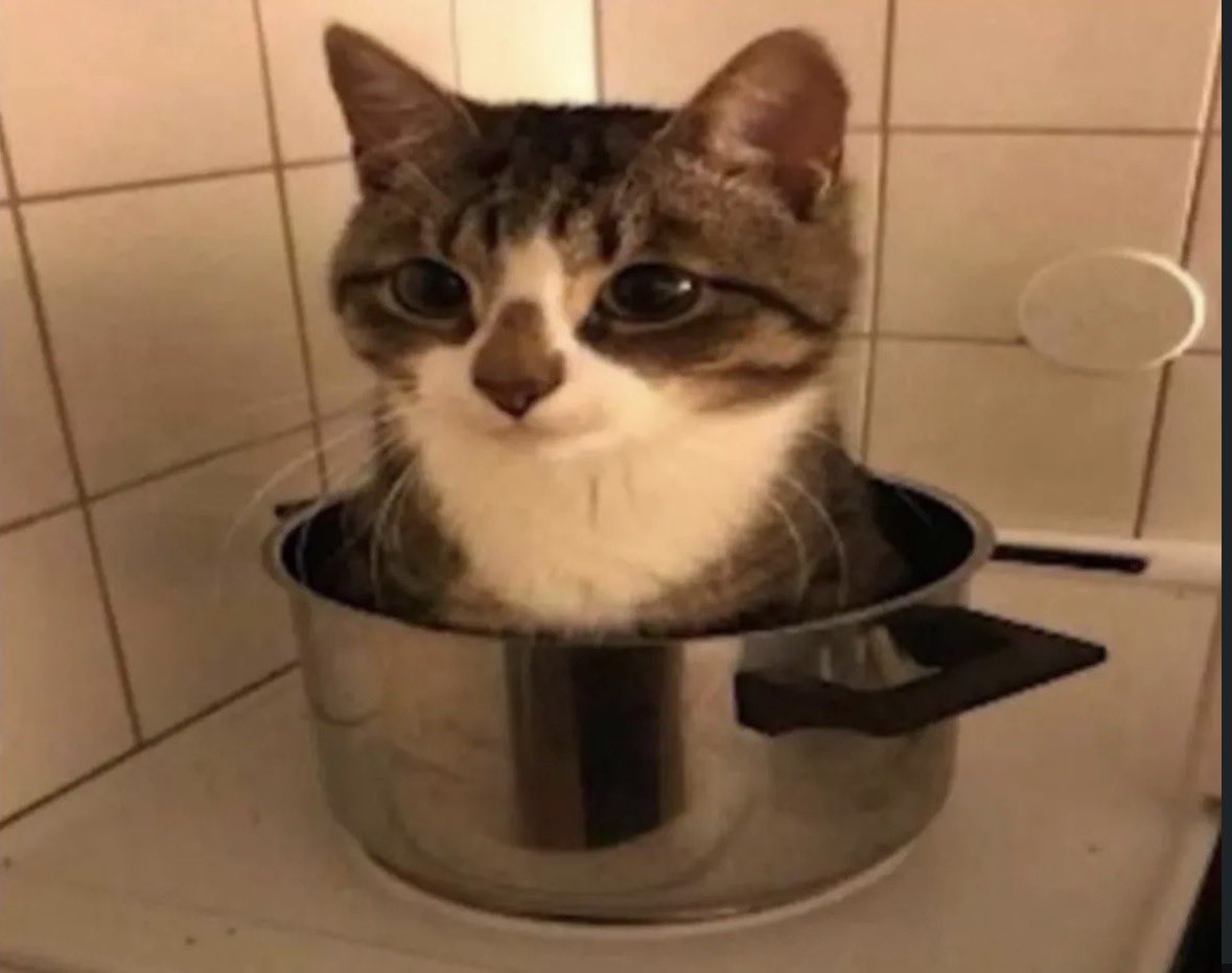 cav empty tweet media