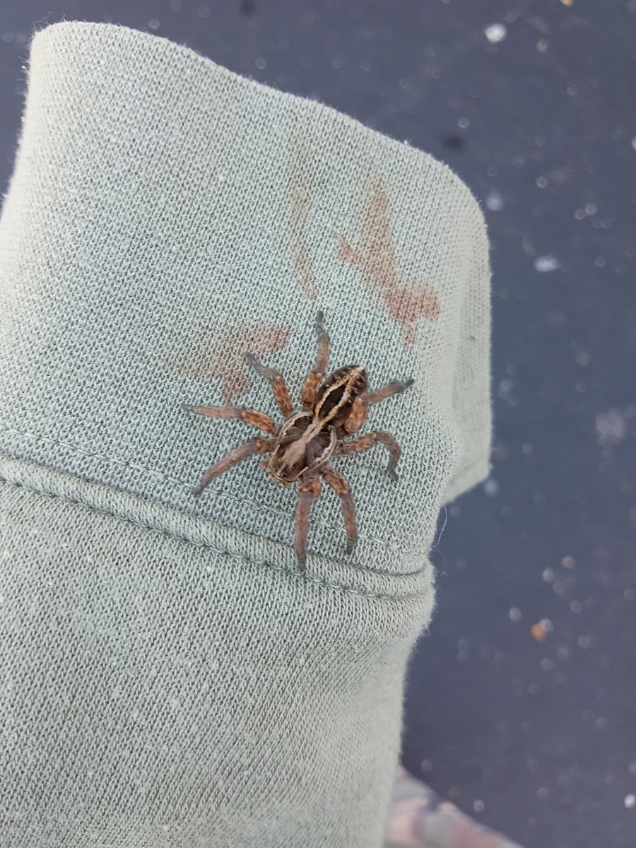 yatter... tweet media