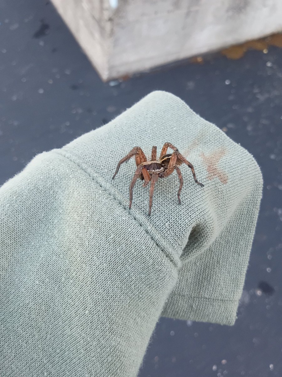 yatter... tweet media