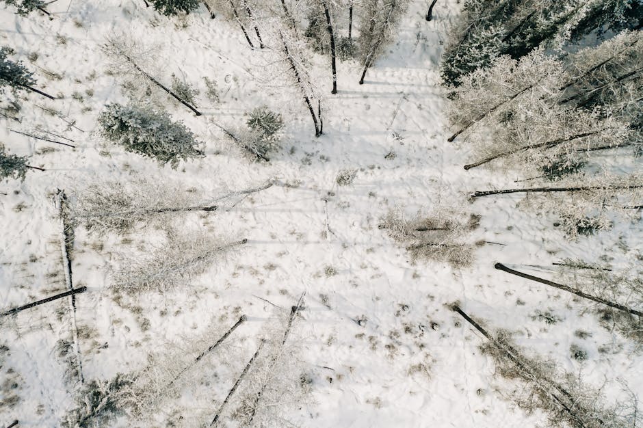 Christina Aguilar tweet media