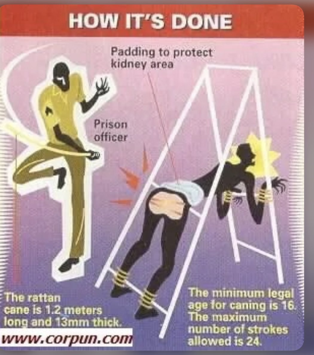 James Cox tweet media