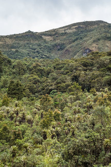 Teresa Clark tweet media