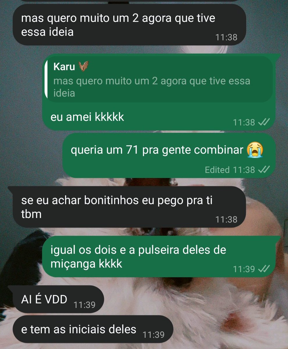 may 🦈 tweet media