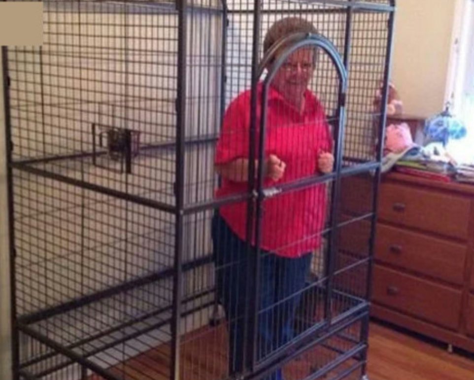 sage fey🪷 tweet media