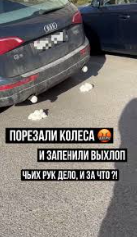 Барбара Крайн tweet media